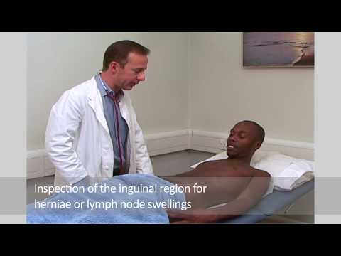 Clinical Examination of the male reproductive system and ...