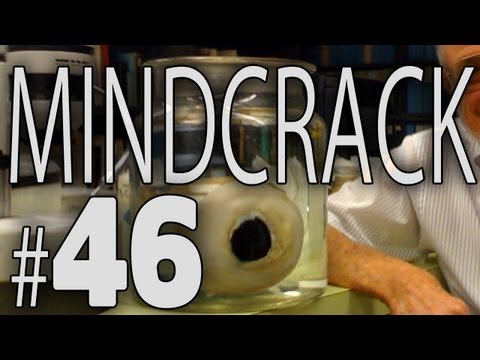 Mindcrack Number 46 - "We're Gonna Need a Montage" with Kurtjmac (Z467)