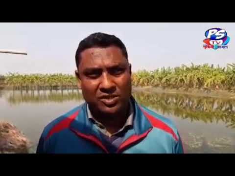 শিবগঞ্জ উপজেলায় মৎস্য অধিদপ্তর, শিবগঞ্জ এর আয়োজনে পুকুর চাষিদের নিয়ে প্রশিক্ষণ ও মতবিনিময় সভা