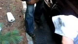 Buddahead Plays Berkley Heights NJ