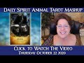 Pick a Card Daily Tarot Reading - Thurs. Oct. 22, 2020 - SKUNK SPIRIT ANIMAL