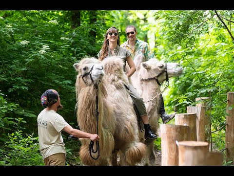 Nyíregyháza - turisztikai imázsfilm