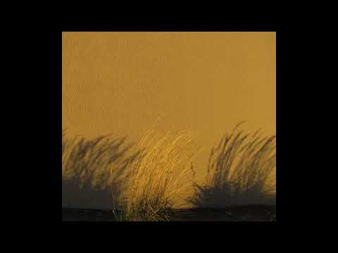 Porya Hatami - Shallow (2014)