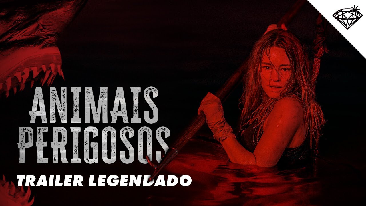 Australian Shark Thriller 'Dangerous Animals' Premieres in Brazil