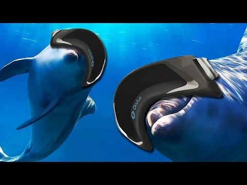 水の教室｜DOWN WHERE IT'S WETTER (Classroom Aquatic | DOWN WHERE IT'S WETTER)