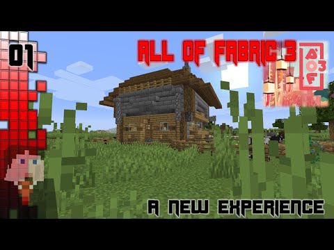 All of Fabric 3 -  1 - A New Experience