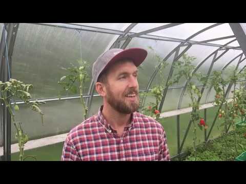 ALT HVAD JEG GØR BRYDER MED SAMFUNDSNORMEN