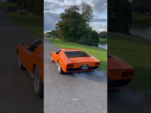 Thumbnail for Lamborghini MIURA Acceleration sounds Amazing! #automobile #lamborghini #miura #lamborghinimiura by Lamborghini, Automobile