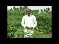 PON VILAIYUM BHOOMI SUCCESSFUL FARMER STORY 06 02 2020