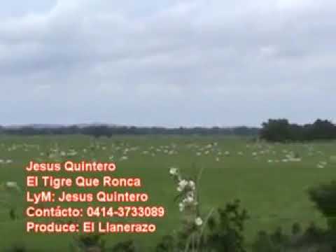 Jesús Quintero El tigre que Ronca