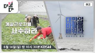 [예고] 계절근로자를 사수하라 / 호르무즈의 경고, 대만의 바람을 배워라 | 더 보다 108회 (2026.06.14)
