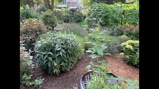 Late August Garden Tour 2025