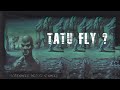 Tatu Fly /Jellyfish 