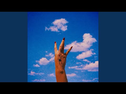 West Auckland Shawty