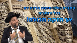 התורה שלנו ספגה הרבה דם בכל הזמנים אך חזקה מכולם!- הרב אפרים שרבני (הרב אפרים שרבני) - התמונה מוצגת ישירות מתוך אתר האינטרנט יוטיוב. זכויות היוצרים בתמונה שייכות ליוצרה. קישור קרדיט למקור התוכן נמצא בתוך דף הסרטון