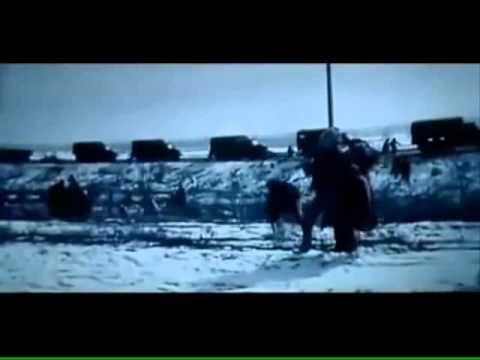 Диди жане Жакау - 1986