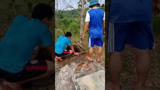 Ae tổng dọn bể sạch