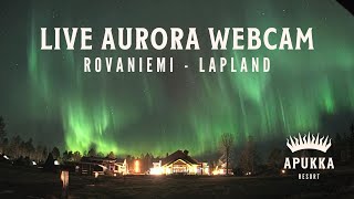 Northern Lights - Apukka Resort