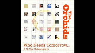The Orchids - We Made a Mess  (Who Needs Tomorrow 2017)
