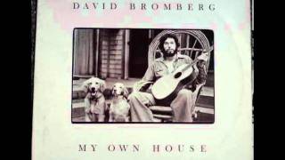 David Bromberg - Early This Morning