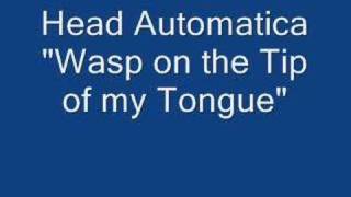 Head Automatica - WOTTOMT