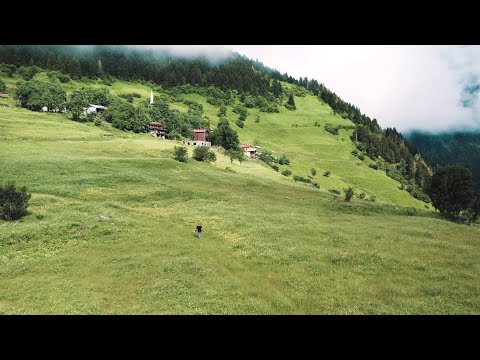 Gökhan Birben - Oy Puşilim