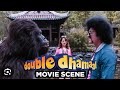 Roy saves Kiya from Gorilla | Double Dhamaal movies.