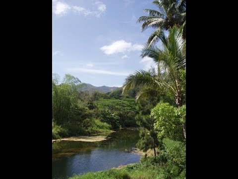 download lagu mp3 mp4 Rosanna Black, download lagu Rosanna Black gratis, unduh video klip Rosanna Black