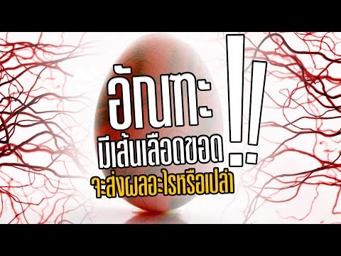 ยาม้าแรง แรงชายเสริมวิดีโอ