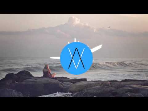 Venice Venture (Big Wild) X "Throw Some D's"