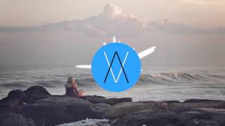 Venice Venture (Big Wild) X &quot;Throw Some D&#39;s&quot;