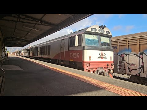 4AM9 SCT up "Dark Ghost #2" (CSR, SCT,, CSR), Forrestfield to Laverton, 0850, 23/2/25, Horsham VIC