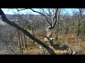 AEF DC EAGLE CAM 16 MAR 2018 Mr President Defends His Lunch