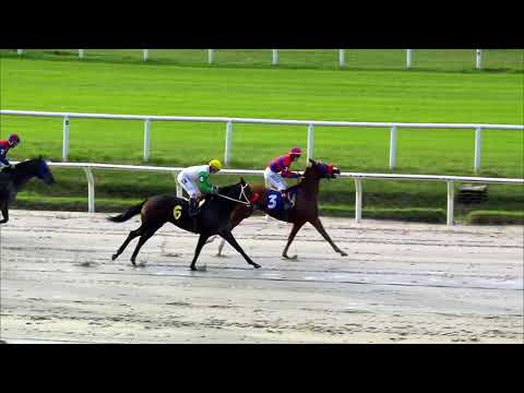 210425 c05 MENDOSING