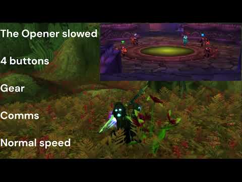 Mind Control Instructor Razuvious MC RAZ Naxx Priest