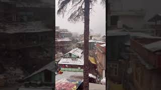 sexy sofiya Ansari dancing ??? #sexy #teen #sofiya #hot #tiktok #reels #shorts #booty #viral #trend?