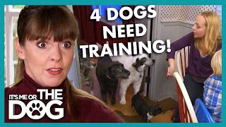 Meet Nicole Sullivan and her Misbehaved 4 Dogs🐶 | It’s Me or The Dog