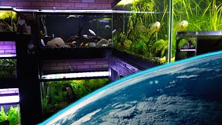 Download lagu The BEST Fish Tank Sizes on The Planet... mp3