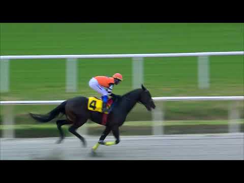 230610 c06 ONE DOLLAR