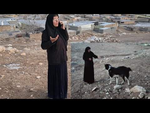 "Reza's Plea: A Call to Sakineh"