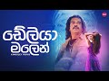 Deliya Malen ඩේලියා මලෙන් Kingsley Peiris Hitma Music Official Lyrics Video