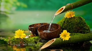 Relaxing Music for Healing + Bamboo Water Sounds 🌿 Relieves depression and tension & Nature Sounds
