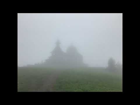 Floating Lotus - Dream