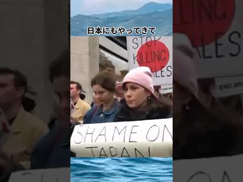 「日本がおかしいの？欧米諸国が普通なの？」クジラ漁についての雑学