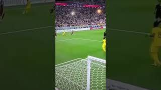 Download lagu Goal Goal Ale Ale Ale #shorts #shortsafrica #worldcup2022 #ecuador mp3