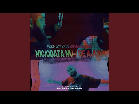 Niciodata nu-i de ajuns (feat. Cretzu, Spectru, Zeze, Mecilinn & D-Trone)