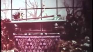 celery - wax (official video)