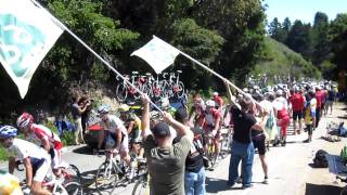 Tour of California - Bonny Doon