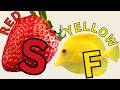 Learn Colors Counting For Kids Toddler Learning Videos Songs