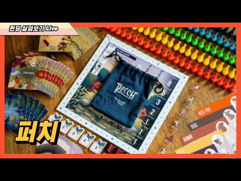 [지니의보담] 펀딩 살펴보기 Live 일부분 "퍼치"